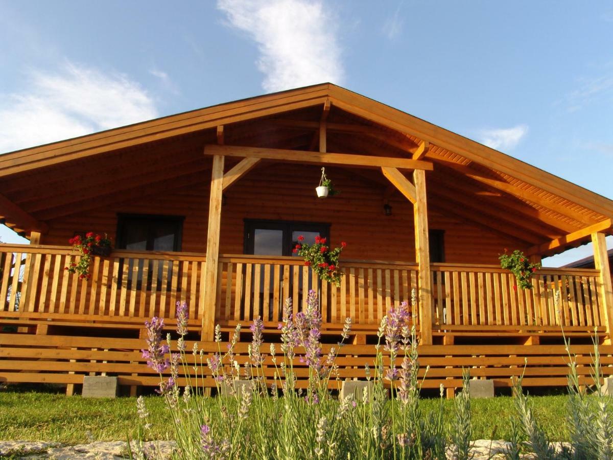 Complex Agroturistic Livada de Nuci Villa Baia de Fier Exterior foto