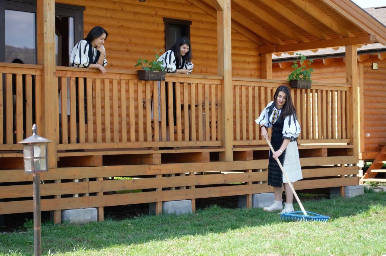 Complex Agroturistic Livada de Nuci Villa Baia de Fier Exterior foto