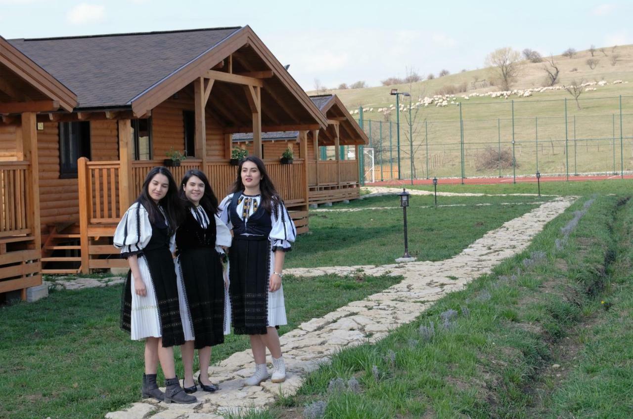 Complex Agroturistic Livada de Nuci Villa Baia de Fier Exterior foto